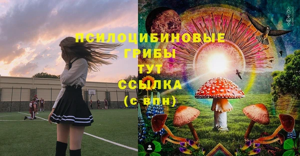 молекула духа Зерноград